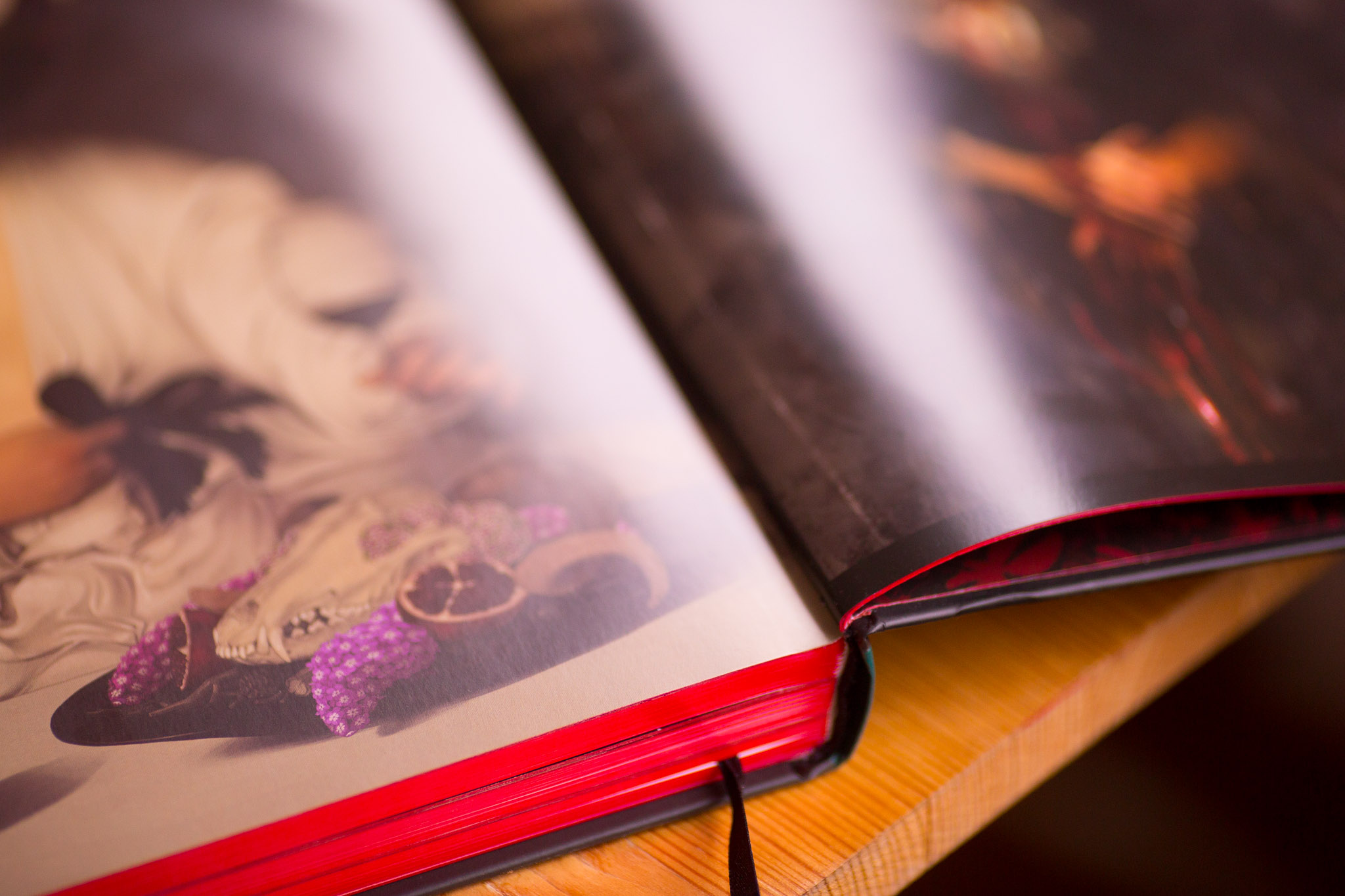 Open hardcover book with illustrated cover featuring decorative botanical design and purple grapes, red ribbon bookmark