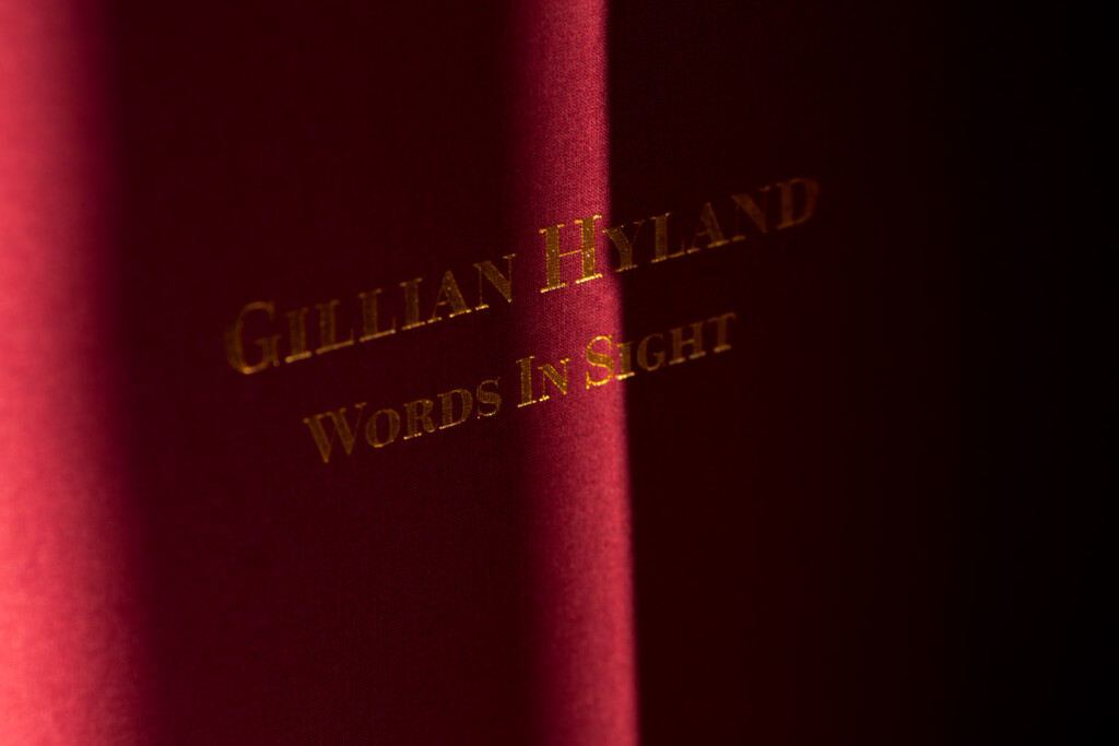 Hardcover book with gold foil-stamped spine reading "Gillian Ireland" and "Words in Sight" against deep red cloth cover.