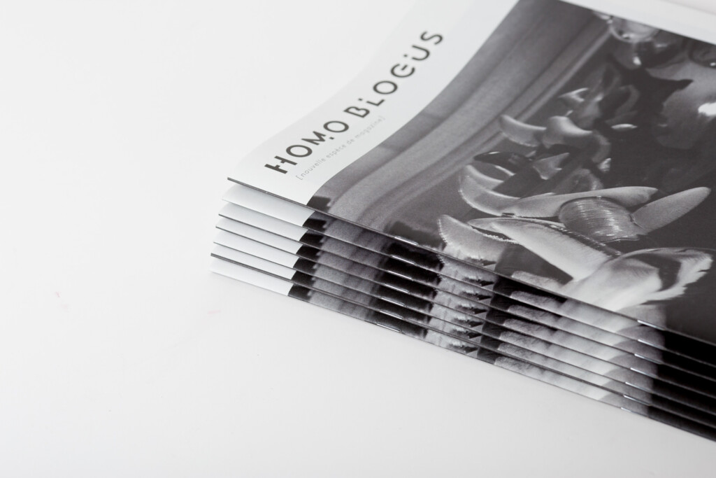 Stack of books with "Homo Blogus" visible on the spine, shown fanned out to display the bound pages and black cloth binding.