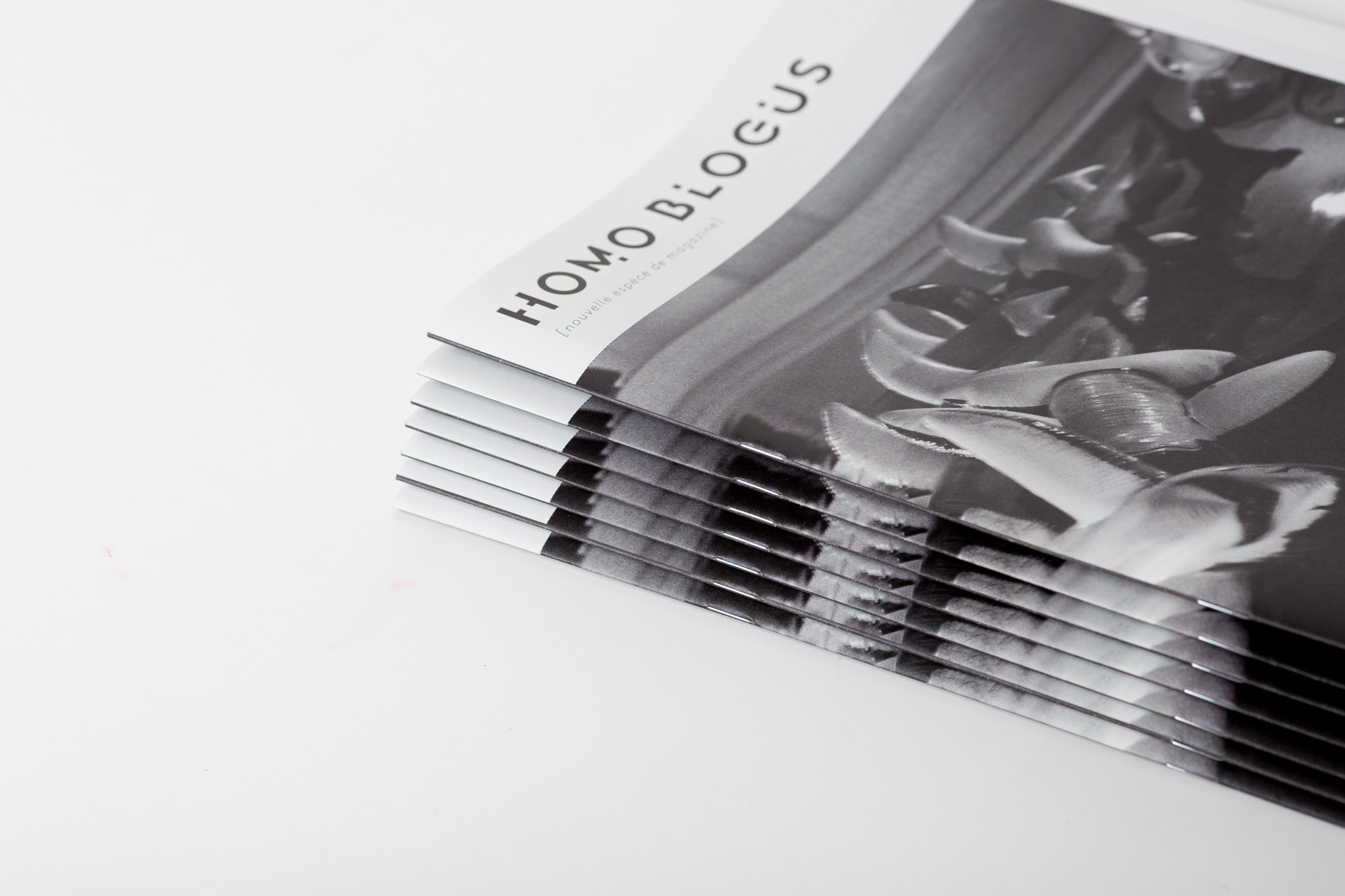 Stack of books with "Homo Blogus" visible on the spine, shown fanned out to display the bound pages and black cloth binding.