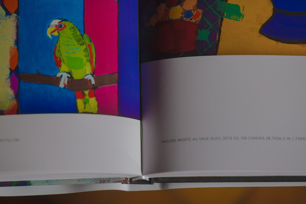 Open art book spread showing green parrot on coloured background, with details of binding and page layout visible.