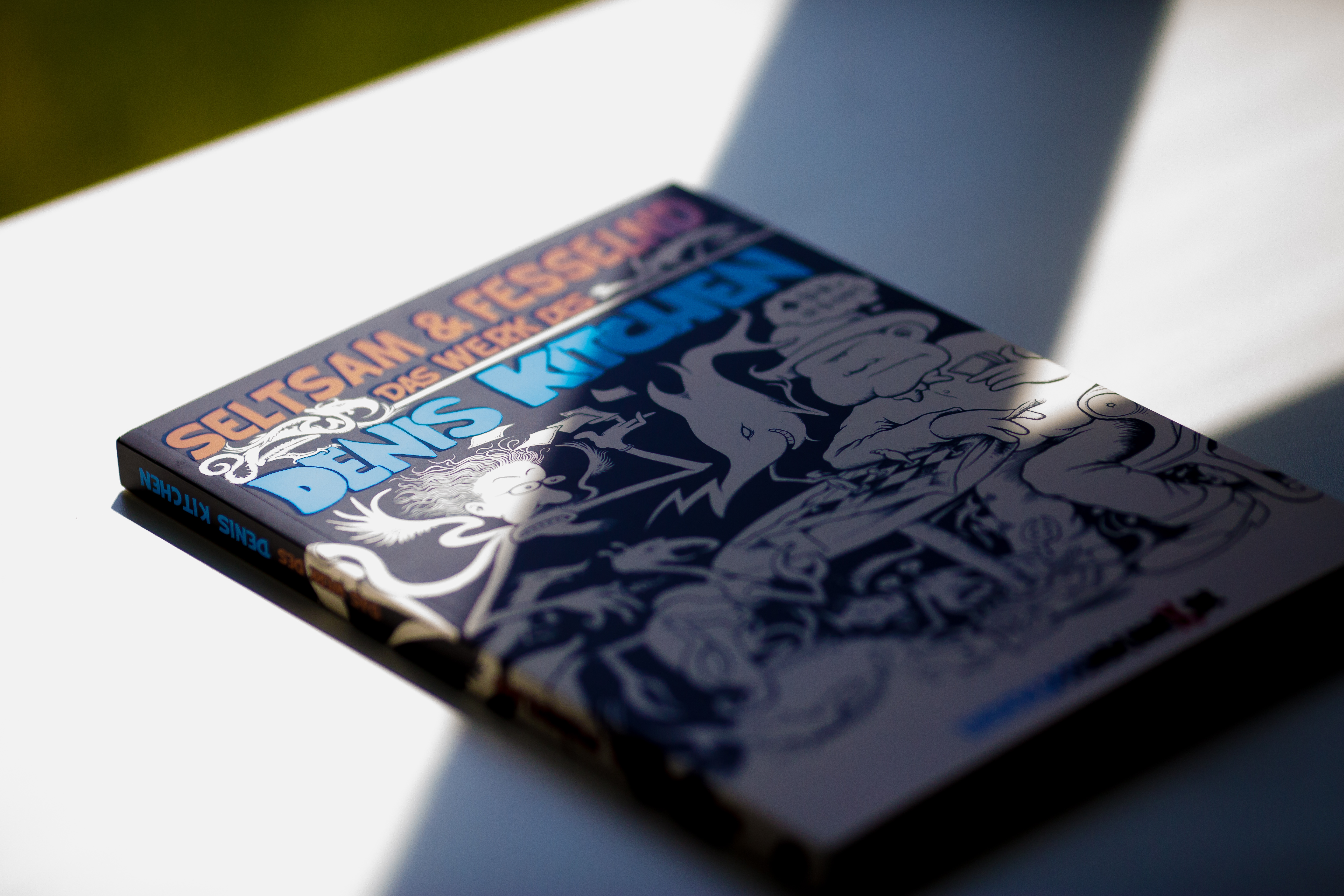 Softcover book with blue and black illustration on cover, spine and back visible in sunlight.