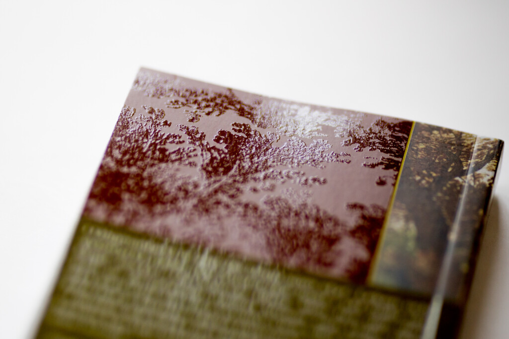 Close-up of a book cover with burgundy and olive-green sections dusted with cocoa powder, showing textured finish detail.