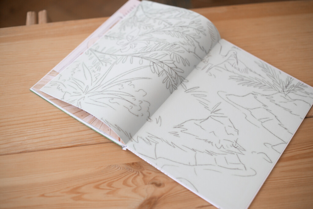 Hardcover children's book open to an illustrated spread showing pencil sketches of plants and flowers.