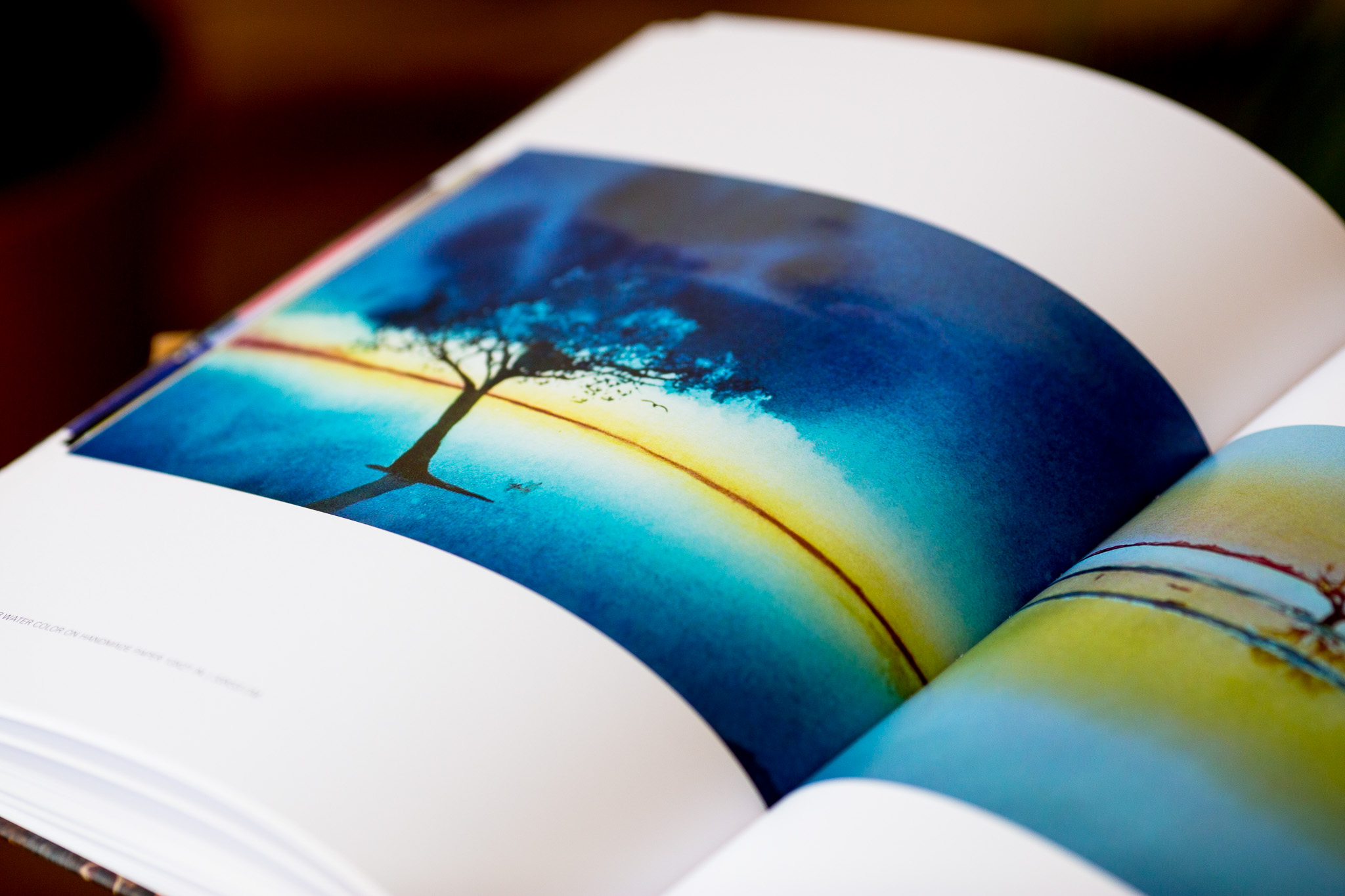 Open hardcover book displaying a landscape photograph of a solitary tree silhouetted against a blue and golden sky, printed