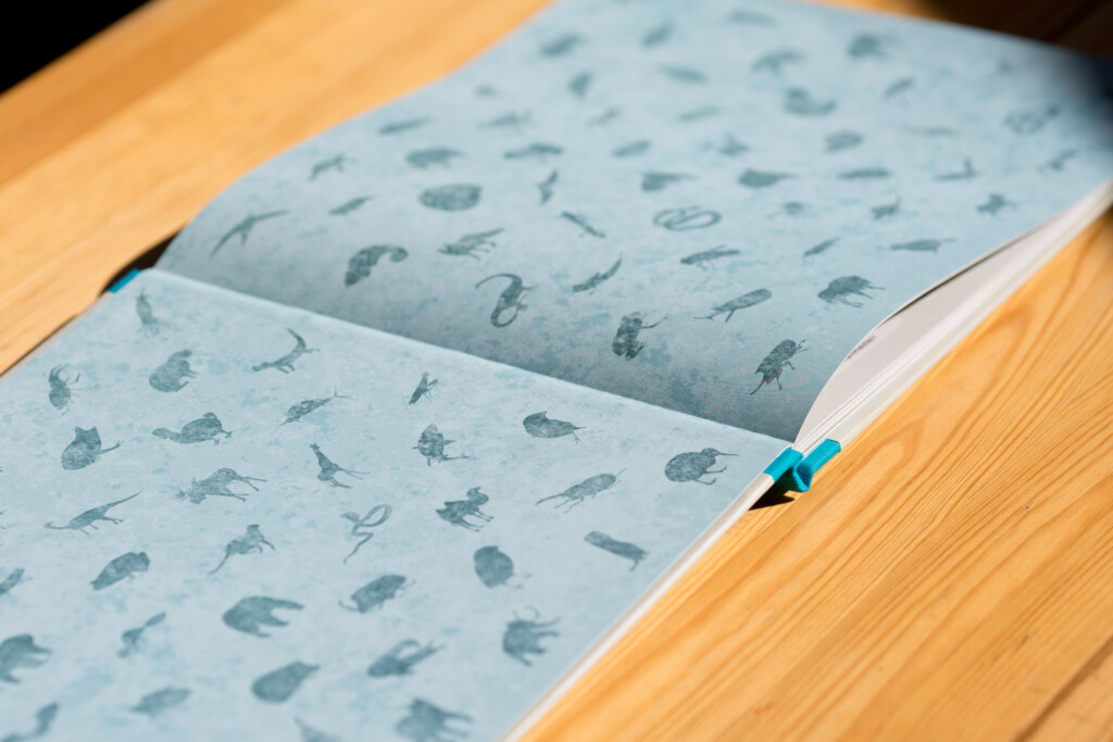 Open hardcover book with blue patterned dust jacket on wooden surface.