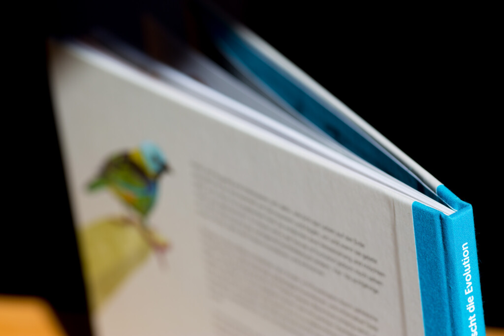 Hardcover cookbook fanned open displaying interior pages with recipe text and food photography, blue spine visible.