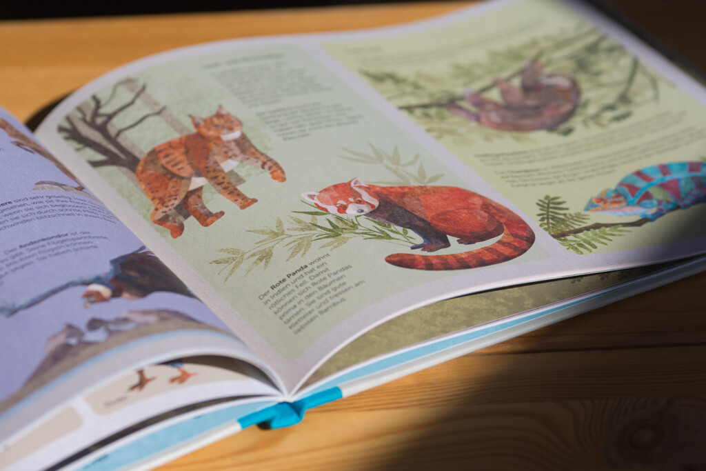 Hardcover cookbook open to pages featuring coloured illustrations of fish and seafood dishes with descriptive text.