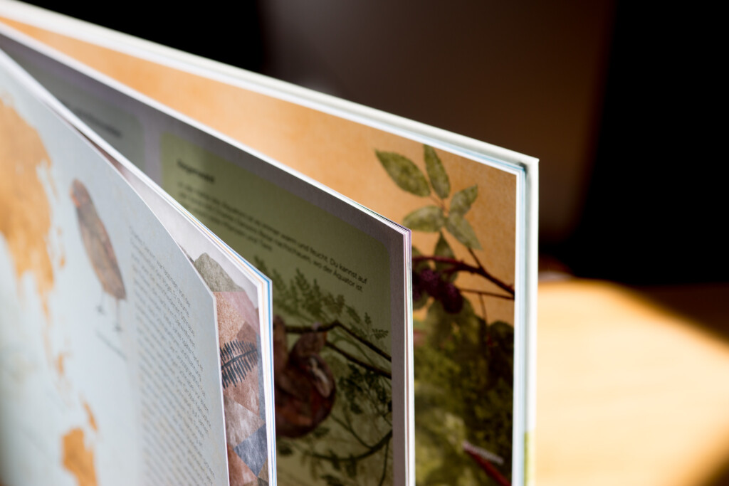 Stack of hardcover books fanned open showing interior pages with photographs and text layouts.