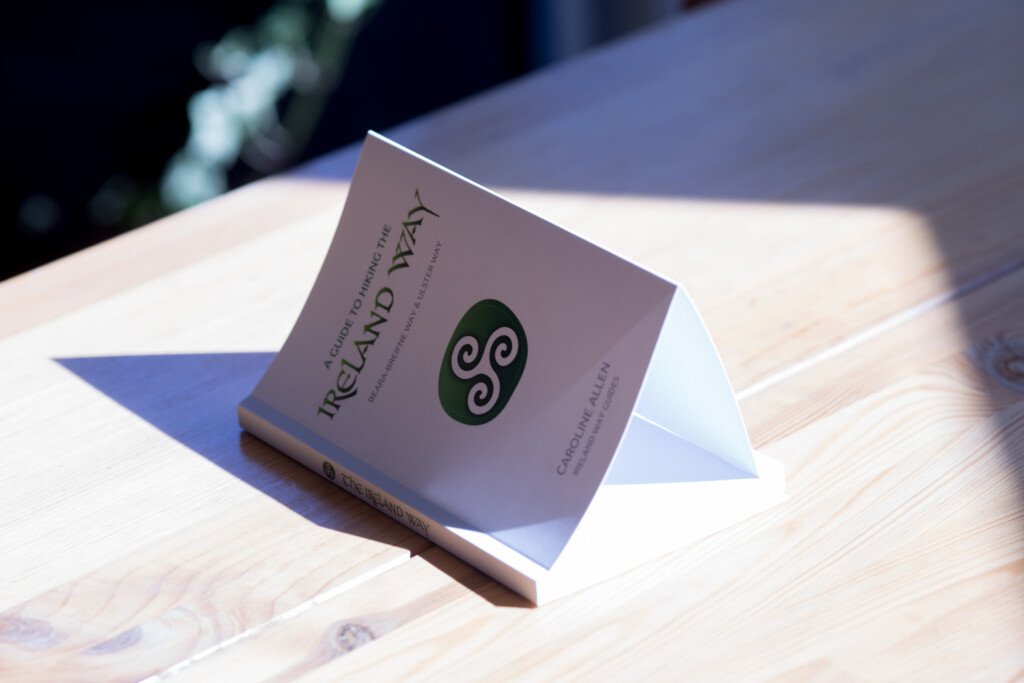 Paperback book with green spiral logo on pale cover, angled on wooden surface in sunlight.