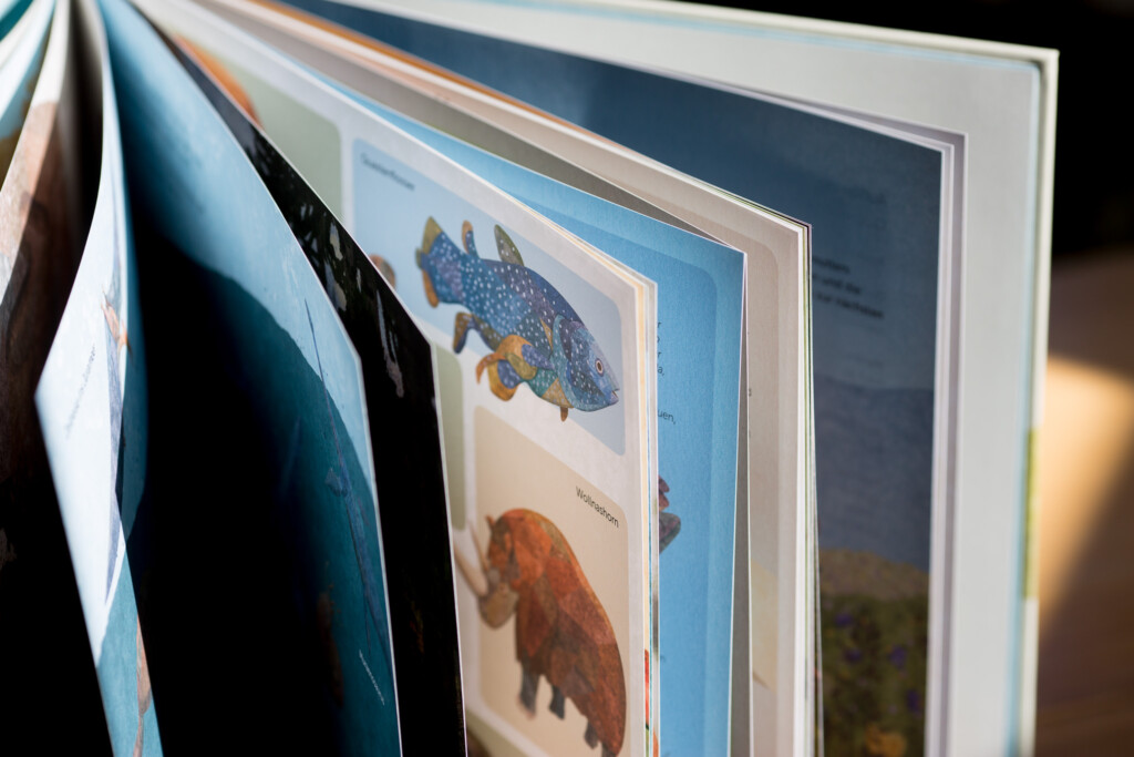 Fanned hardcover books displaying wildlife illustrations including a bird and bear on visible pages.