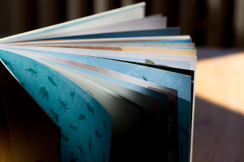 Fanned hardcover books with turquoise patterned cover and visible sewn binding.