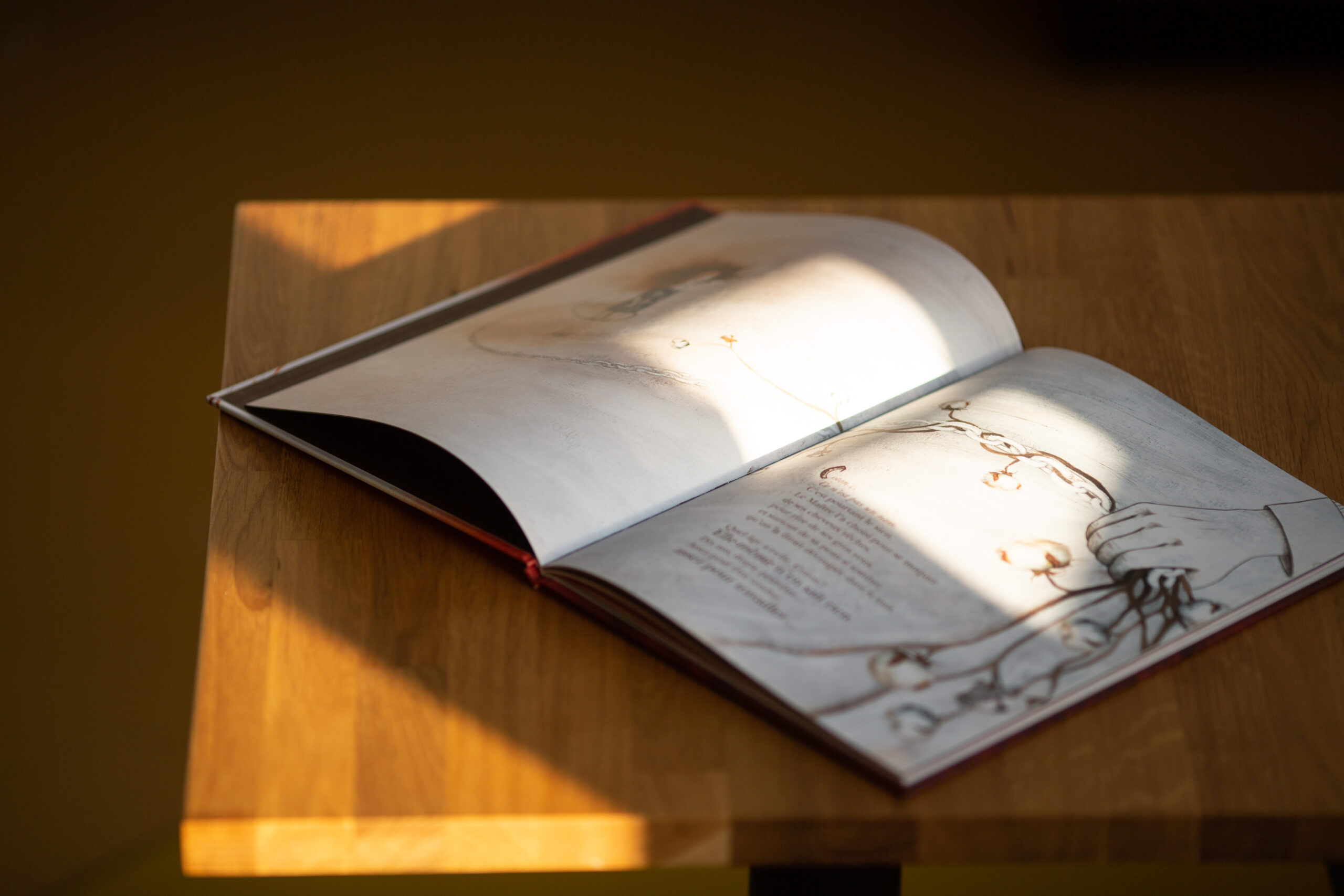 Open hardcover book with illustrated spread illuminated by warm sunlight on wooden surface.